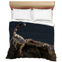 Scorpion With Babies Bedding 44205086
