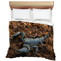 Scorpions In The Forest, Can Harm Humans. Bedding 83797975