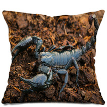 Scorpions In The Forest, Can Harm Humans. Pillows 83797975