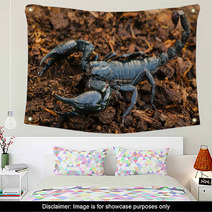 Scorpions In The Forest, Can Harm Humans. Wall Art 83797975