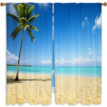 Sea And Coconut Palm Window Curtains 19725695