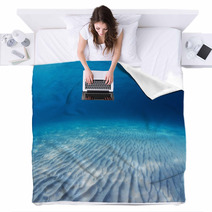 Sea Blankets 49662733
