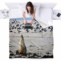 Sea Lion Resting On A Beach Blankets 89082887