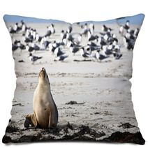 Sea Lion Resting On A Beach Pillows 89082887