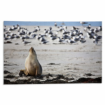 Sea Lion Resting On A Beach Rugs 89082887
