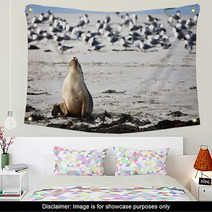 Sea Lion Resting On A Beach Wall Art 89082887
