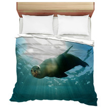 Sea Lion Underwater Looking At You Bedding 58000900
