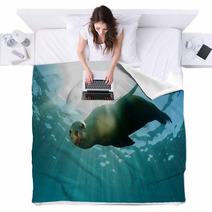Sea Lion Underwater Looking At You Blankets 58000900
