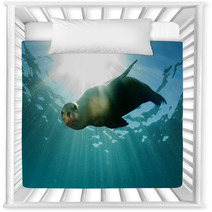 Sea Lion Underwater Looking At You Nursery Decor 58000900