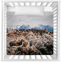Sea Lions And Cormorants In Beagle Channel, Ushuaia (Argentina) Nursery Decor 58707349