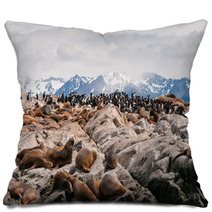 Sea Lions And Cormorants In Beagle Channel, Ushuaia (Argentina) Pillows 58707349