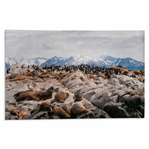 Sea Lions And Cormorants In Beagle Channel, Ushuaia (Argentina) Rugs 58707349