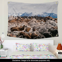 Sea Lions And Cormorants In Beagle Channel, Ushuaia (Argentina) Wall Art 58707349