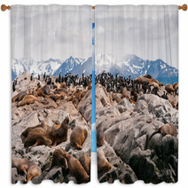 Sea Lions And Cormorants In Beagle Channel, Ushuaia (Argentina) Window Curtains 58707349