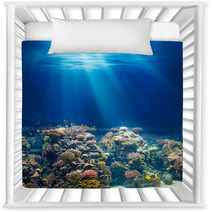 Sea Or Ocean Underwater Coral Reef Snorkeling Or Diving Backgrou Nursery Decor 63761461