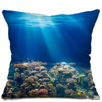 Sea Or Ocean Underwater Coral Reef Snorkeling Or Diving Backgrou Pillows 63761461