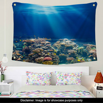 Sea Or Ocean Underwater Coral Reef Snorkeling Or Diving Backgrou Wall Art 63761461