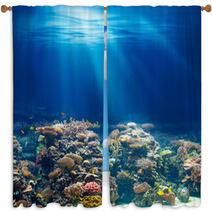 Sea Or Ocean Underwater Coral Reef Snorkeling Or Diving Backgrou Window Curtains 63761461