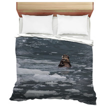 Sea Otter And Pup Bedding 67714015
