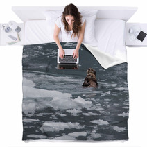 Sea Otter And Pup Blankets 67714015