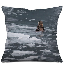 Sea Otter And Pup Pillows 67714015