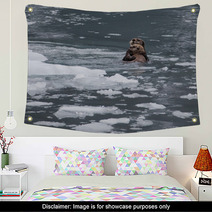 Sea Otter And Pup Wall Art 67714015