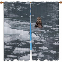 Sea Otter And Pup Window Curtains 67714015