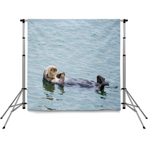 Sea Otter Backdrops 91534057