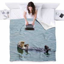 Sea Otter Blankets 91534057