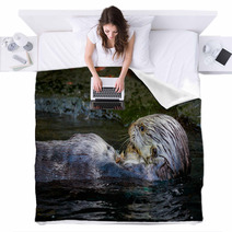 Sea Otter Feeding Blankets 100616814