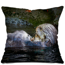Sea Otter Feeding Pillows 100616814