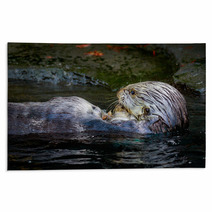 Sea Otter Feeding Rugs 100616814