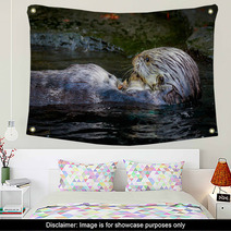 Sea Otter Feeding Wall Art 100616814