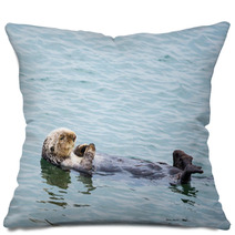 Sea Otter Pillows 91534057