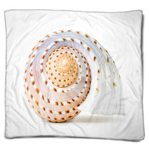 Sea Shell Blankets 66437130