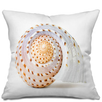 Sea Shell Pillows 66437130