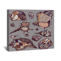 Sea Shells Set. Wall Art 67400343