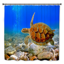 Sea Turtle Bath Decor 29299640