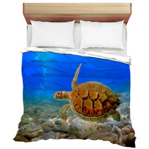 Sea Turtle Bedding 29299640