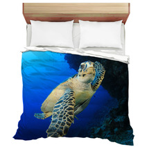 Sea Turtle Bedding 62841798
