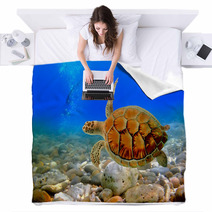 Sea Turtle Blankets 29299640