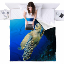 Sea Turtle Blankets 62841798
