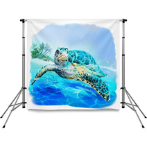 Sea Turtle Floats Watercolor Drawing Backdrops 223568590