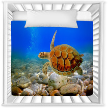 Sea Turtle Nursery Decor 29299640