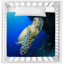 Sea Turtle Nursery Decor 62841798