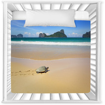 Sea Turtle On A Beach To Lay Her Eggs. Nursery Decor 50217578