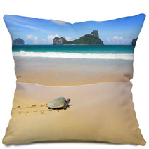 Sea Turtle On A Beach To Lay Her Eggs. Pillows 50217578