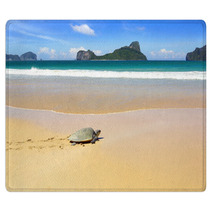 Sea Turtle On A Beach To Lay Her Eggs. Rugs 50217578