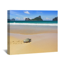 Sea Turtle On A Beach To Lay Her Eggs. Wall Art 50217578