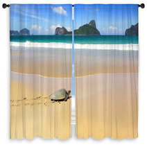 Sea Turtle On A Beach To Lay Her Eggs. Window Curtains 50217578